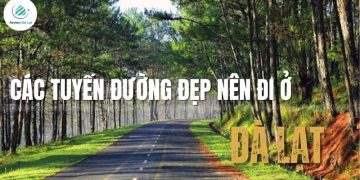 Gợi ý các tuyến đường đẹp nên đi ở Đà Lạt khiến bạn mê mẩn
