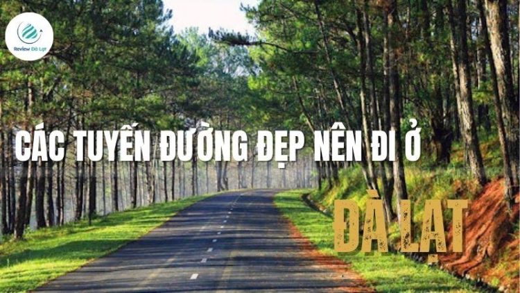 Gợi ý các tuyến đường đẹp nên đi ở Đà Lạt khiến bạn mê mẩn