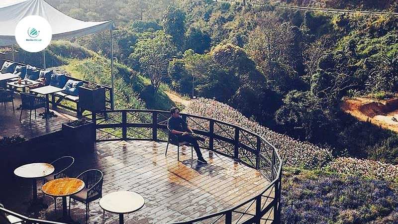 Cafe F Cánh Đồng Hoa