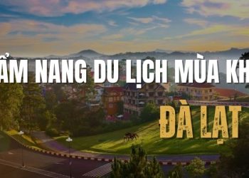 Top 7 điều cần biết trong cẩm nang du lịch Đà Lạt mùa khô