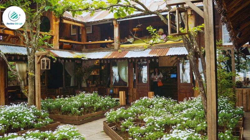 Không gian mở hướng đồi thông, rất chill