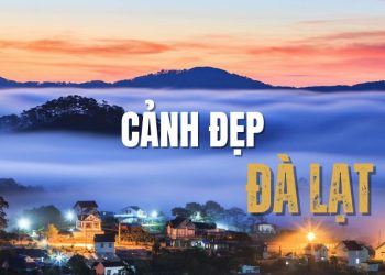 Check-in 20 cảnh đẹp Đà Lạt được dân mê xê dịch săn lùng