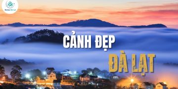 Check-in 20 cảnh đẹp Đà Lạt được dân mê xê dịch săn lùng