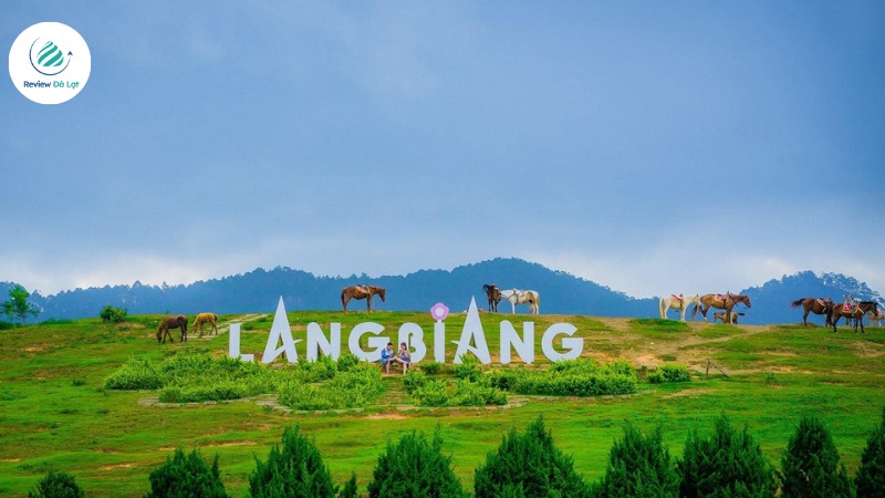 Tầm nhìn toàn cảnh thành phố sương mù từ trên cao