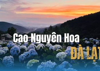  KDL Cao Nguyên Hoa Đà Lạt: Điểm đến ngắm hoa tuyệt vời