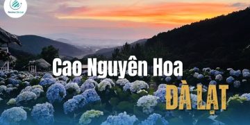 KDL Cao Nguyên Hoa Đà Lạt: Điểm đến ngắm hoa tuyệt vời