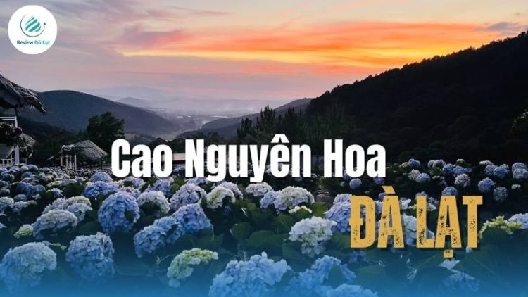 KDL Cao Nguyên Hoa Đà Lạt: Điểm đến ngắm hoa tuyệt vời