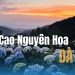 KDL Cao Nguyên Hoa Đà Lạt: Điểm đến ngắm hoa tuyệt vời