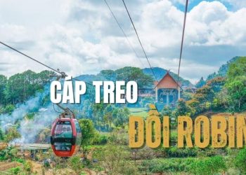 Khám phá cáp treo Đồi Robin – Hành trình ngắm Đà Lạt từ trên cao