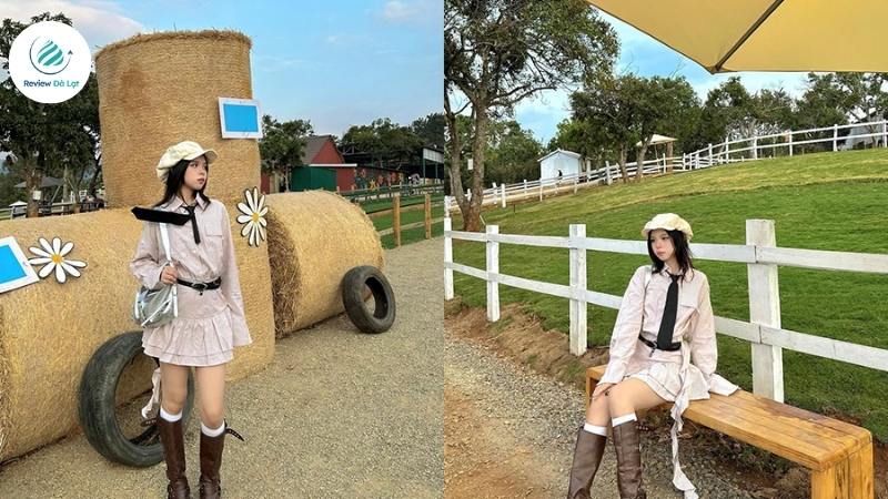 View đồi cừu cực chill, check-in là auto đẹp