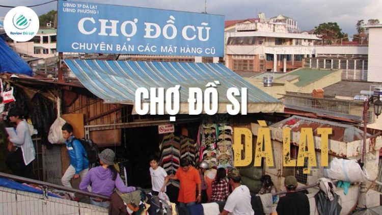 Chợ đồ si Đà Lạt - Săn món đồ cổ độc lạ cho tín đồ Vintage
