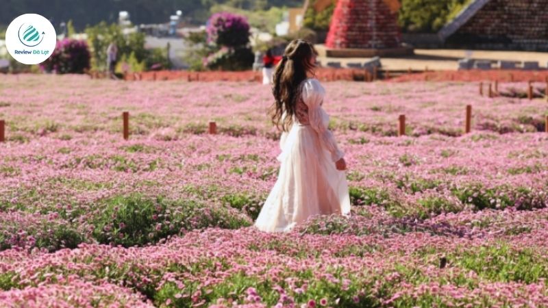 Chuẩn bị thiết bị chụp ảnh đẹp khi đi du lịch vào mùa hoa Đà Lạt
