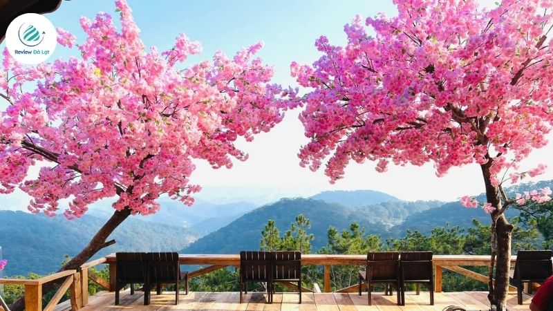 Không gian cafe với nhiều góc chụp hình đẹp