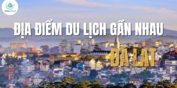 Top 7+ địa điểm du lịch gần nhau tại Đà Lạt mới nhất 2025