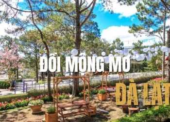 Đồi Mộng Mơ Đà Lạt