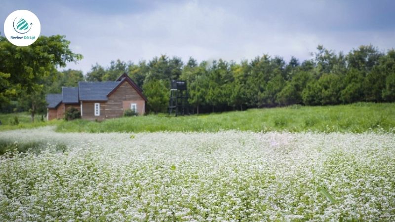 Du khách cần tuyệt đối không dẫm đạp lên hoa ở Đà Lạt 
