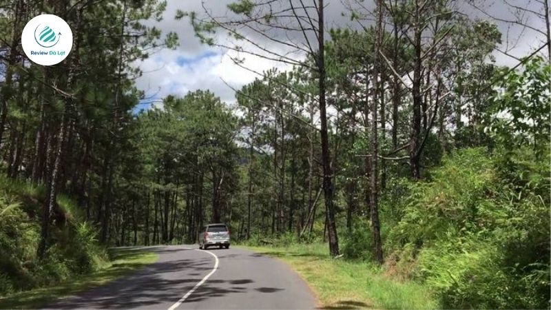 Cách trung tâm Đà Lạt khoảng 10km, cung đường đến Thung Lũng Vàng mang vẻ đẹp hiền hòa, đậm chất thơ