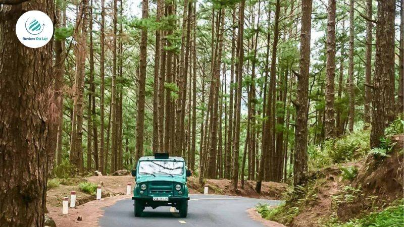 Nằm trong khu du lịch Lang Biang, cung đường chinh phục đỉnh Rada dài khoảng 6km là hành trình không thể bỏ lỡ