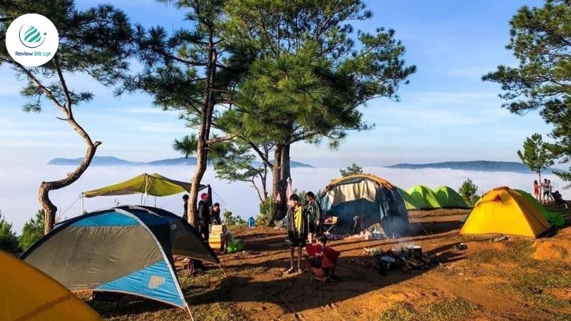 Cắm trại săn mây tại Thung Lũng Vàng