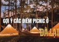 Gợi ý các điểm picnic ở Đà Lạt săn mây cực chill cùng hội bạn