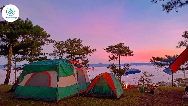 Cắm trại tại Hồ Suối Vàng có cây thông cô đơn