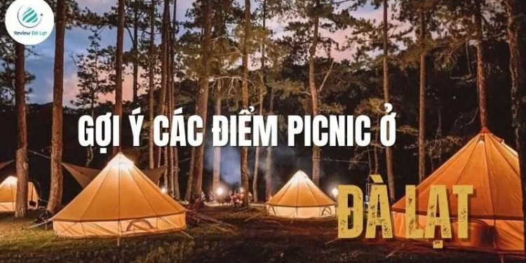 Gợi ý các điểm picnic ở Đà Lạt săn mây cực chill cùng hội bạn
