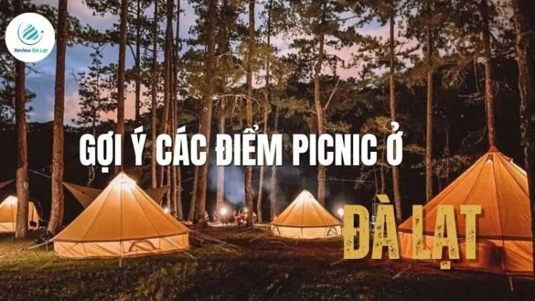 Gợi ý các điểm picnic ở Đà Lạt săn mây cực chill cùng hội bạn