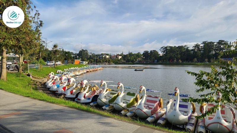 Đạp vịt Hồ Xuân Hương