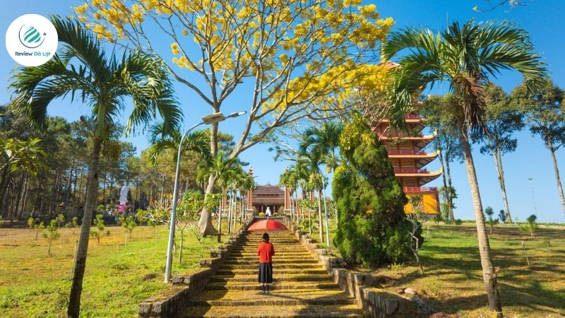 Dạo chơi dưới tán hoa
