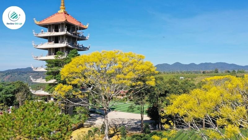 Tham gia hoạt động ngoài trời