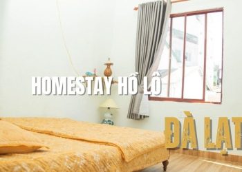 Homestay Hồ Lô Đà Lạt – Góc sống ảo chill giữa rừng thông
