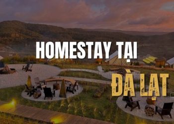 Trải nghiệm đáng nhớ với 5 homestay tại Đà Lạt đẹp như tranh