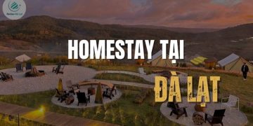 Trải nghiệm đáng nhớ với 5 homestay tại Đà Lạt đẹp như tranh