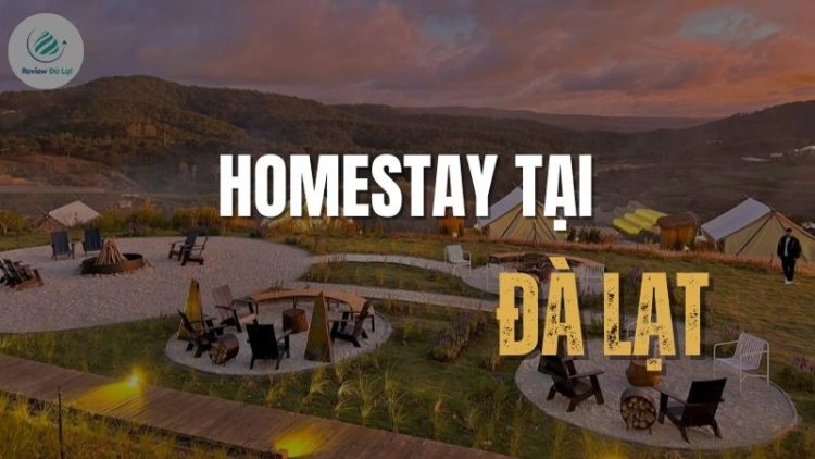 Trải nghiệm đáng nhớ với 5 homestay tại Đà Lạt đẹp như tranh