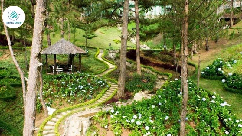 Hướng dẫn chỉ đường tới Đồi Mộng Mơ Đà Lạt