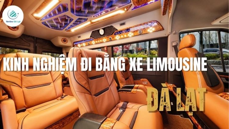 Kinh nghiệm đi Đà Lạt bằng xe limousine sang trọng, tiện lợi