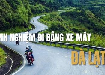 Bật mí kinh nghiệm đi Đà Lạt bằng xe máy cho chuyến đi an toàn