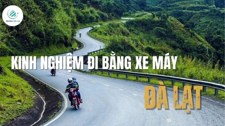Bật mí kinh nghiệm đi Đà Lạt bằng xe máy cho chuyến đi an toàn
