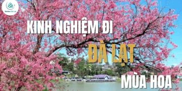 Kinh nghiệm đi Đà Lạt mùa hoa: Trọn bộ bí kíp từ A đến Z