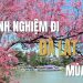 Kinh nghiệm đi Đà Lạt mùa hoa: Trọn bộ bí kíp từ A đến Z