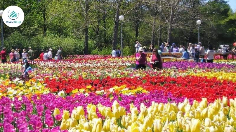 Gợi ý lộ trình di chuyển nhanh và tiện lợi
