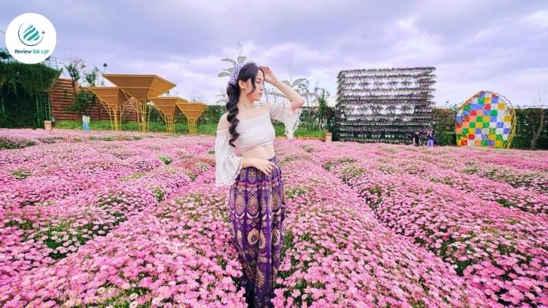 Nên đi buổi sáng để chụp ảnh đẹp