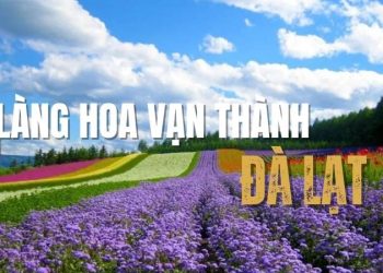 làng hoa Vạn Thành Đà Lạt