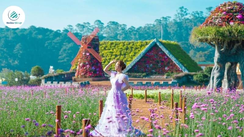 Hàng trăm loài hoa cùng khoe sắc rực rỡ