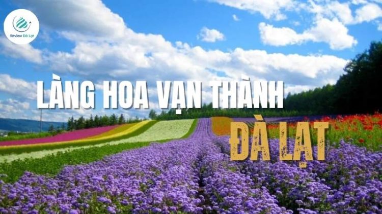 làng hoa Vạn Thành Đà Lạt