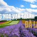 làng hoa Vạn Thành Đà Lạt