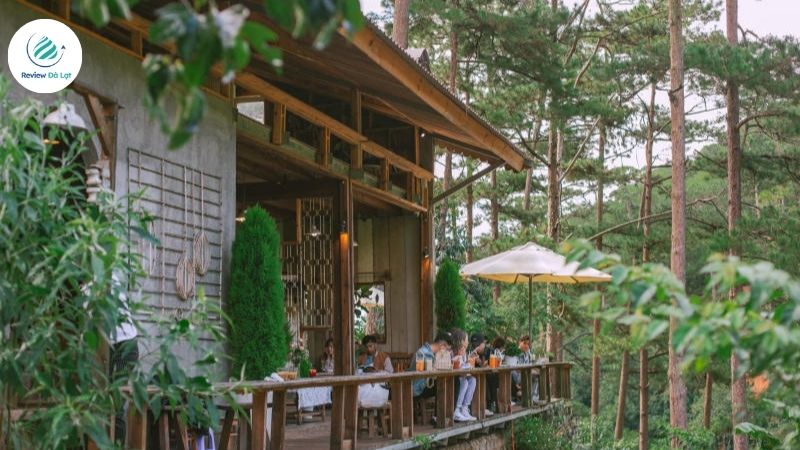 Lưng Chừng Cafe – Quán view rừng thông đẹp mê mẩn