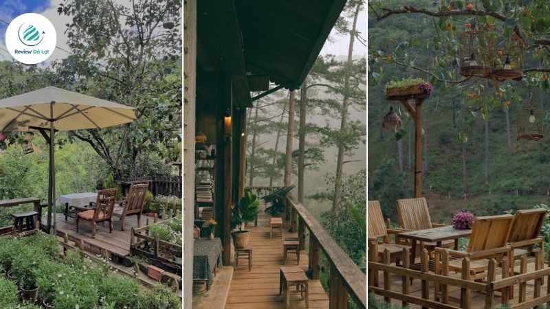 Lưng Chừng Cafe sở hữu nhiều góc sống ảo đẹp mê ly giữa rừng thông