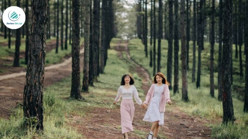 Lưu ý về thời tiết Đà Lạt vào dịp lễ để có kỳ nghỉ trọn vẹn 
