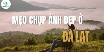 Mẹo chụp ảnh đẹp ở Đà Lạt: Tip tận dụng ánh sáng và góc chụp